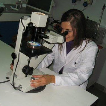 Eugenia